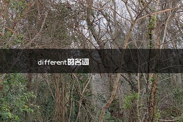 different的名词