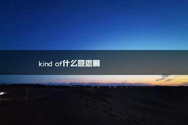 kind of什么意思啊