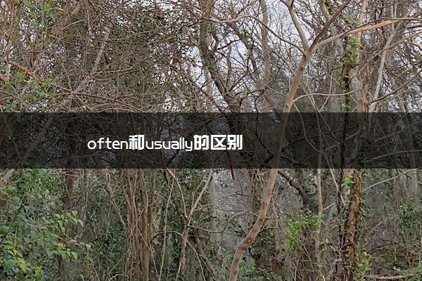 often和usually的区别