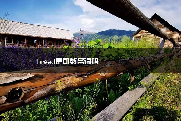 bread是可数名词吗