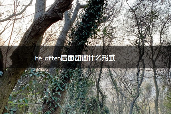 he often后面动词什么形式