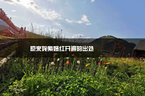 原来姹紫嫣红开遍的出处