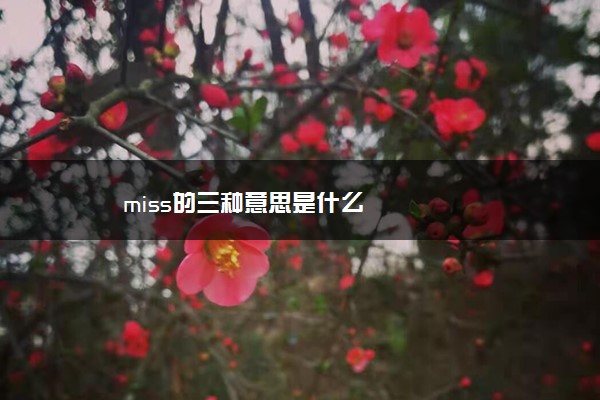 miss的三种意思是什么