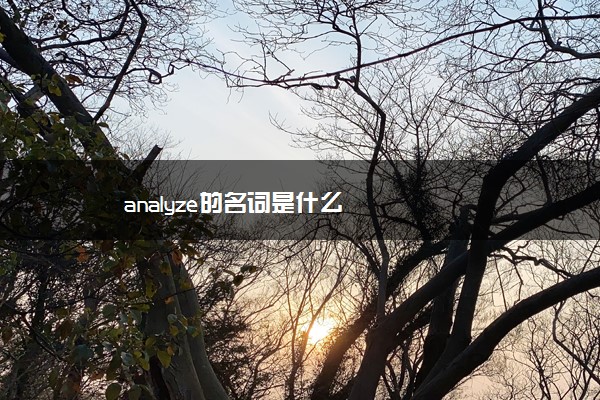 analyze的名词是什么