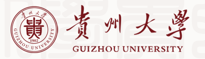 2020贵州大学校考成绩查询入口