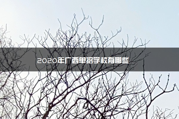 2020年广西单招学校有哪些