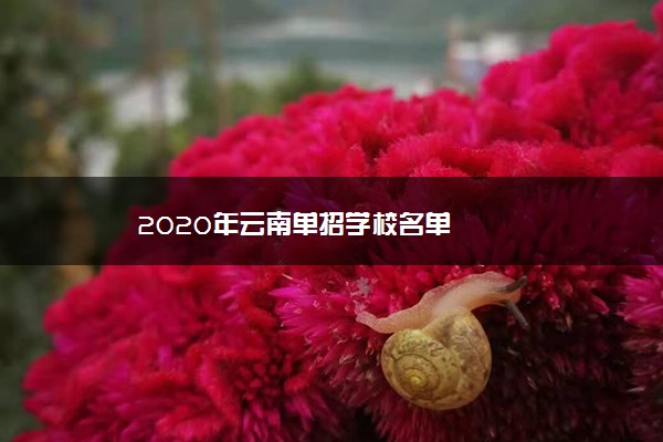 2020年云南单招学校名单