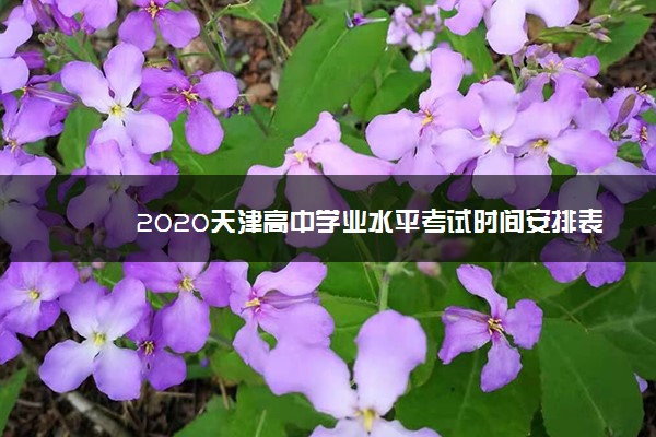 2020天津高中学业水平考试时间安排表