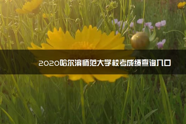 2020哈尔滨师范大学校考成绩查询入口