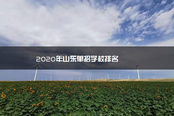 2020年山东单招学校排名