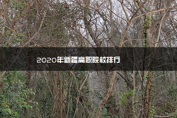 2020年新疆高职院校排行