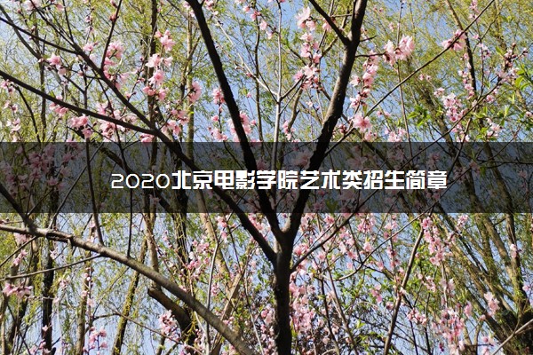 2020北京电影学院艺术类招生简章