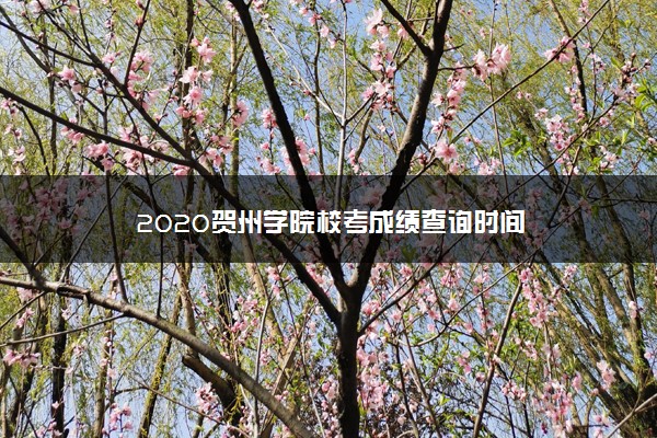 2020贺州学院校考成绩查询时间