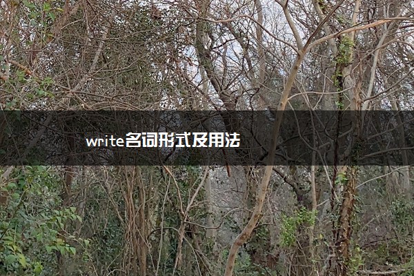 write名词形式及用法