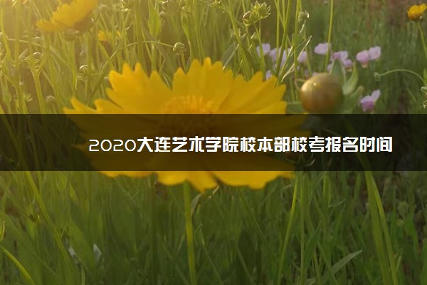 2020大连艺术学院校本部校考报名时间