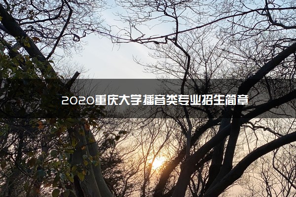 2020重庆大学播音类专业招生简章