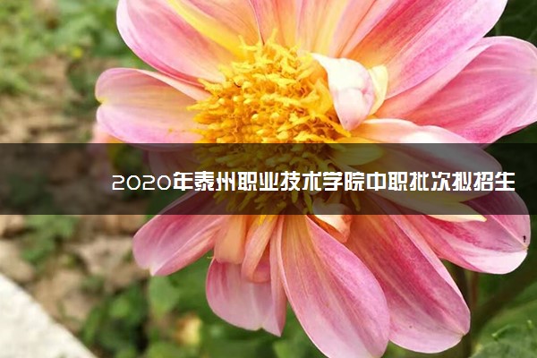 2020年泰州职业技术学院中职批次拟招生专业及计划