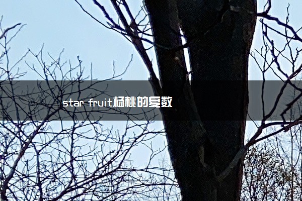 star fruit杨桃的复数