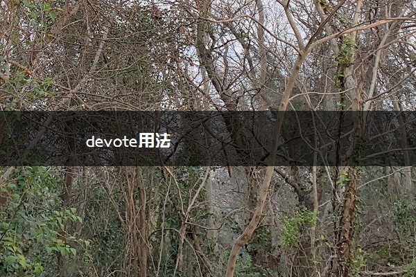 devote用法