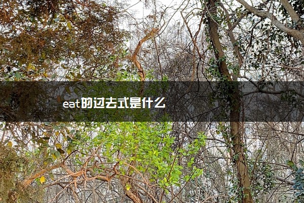 eat的过去式是什么