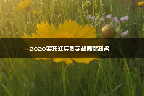 2020黑龙江专科学校最新排名