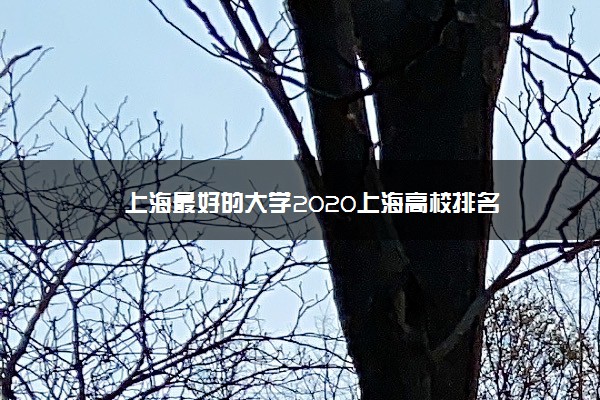 上海最好的大学2020上海高校排名