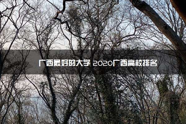 广西最好的大学 2020广西高校排名