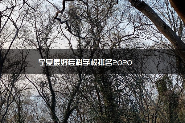 宁夏最好专科学校排名2020