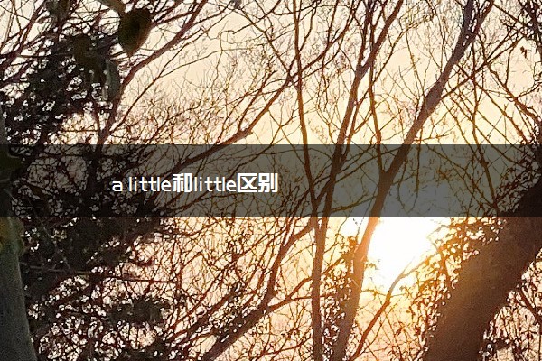 a little和little区别