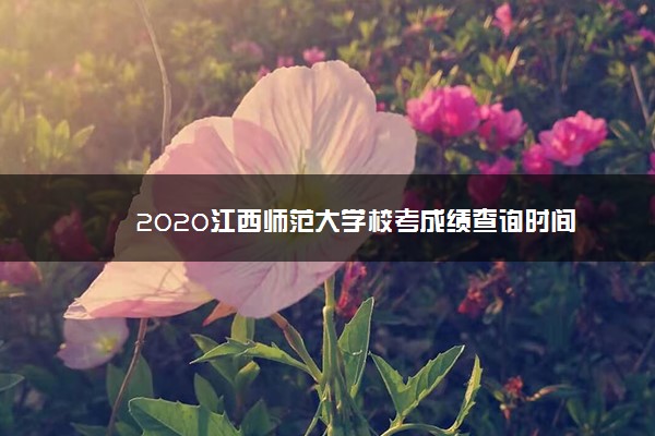 2020江西师范大学校考成绩查询时间