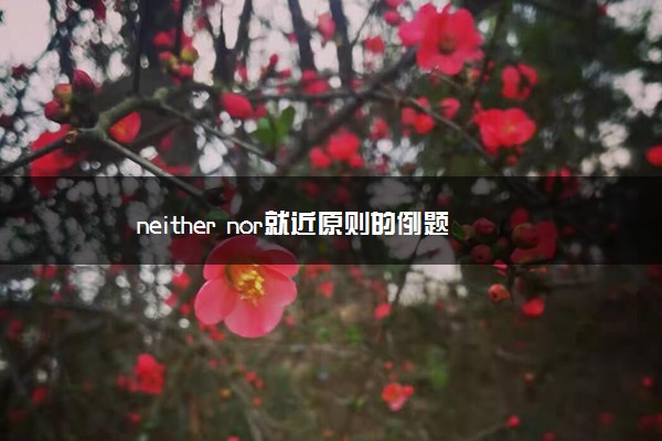 neither nor就近原则的例题