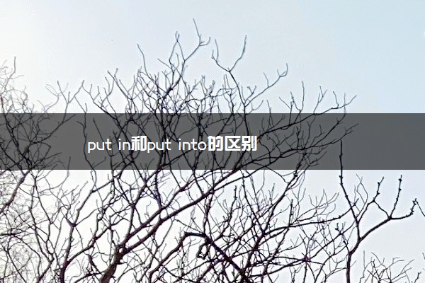 put in和put into的区别