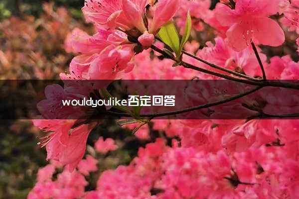 wouldyoulike否定回答