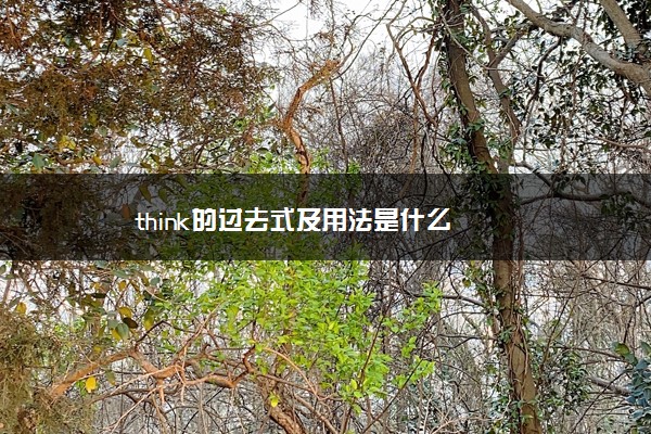 think的过去式及用法是什么