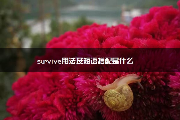 survive用法及短语搭配是什么