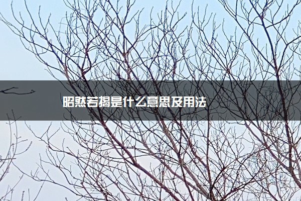 昭然若揭是什么意思及用法