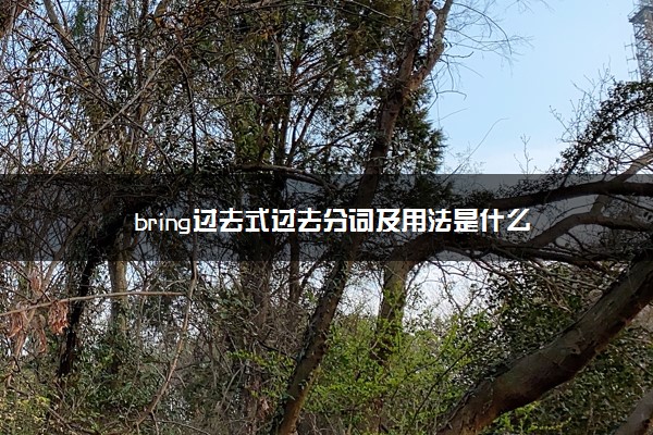 bring过去式过去分词及用法是什么