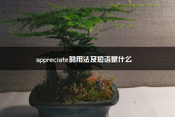 appreciate的用法及短语是什么