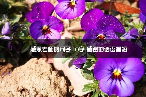 感恩老师的句子10字 感谢的话语简短