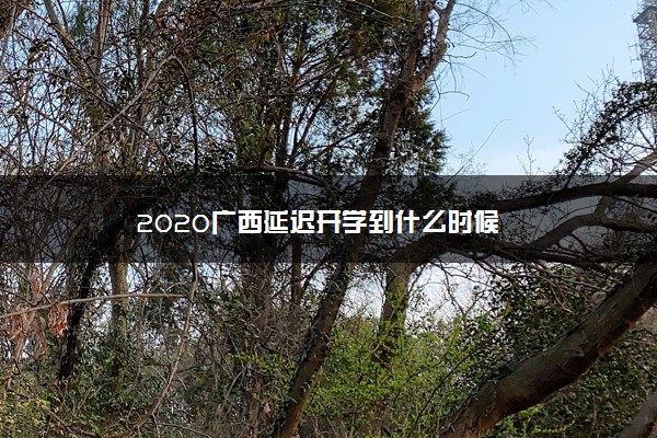 ​2020广西延迟开学到什么时候