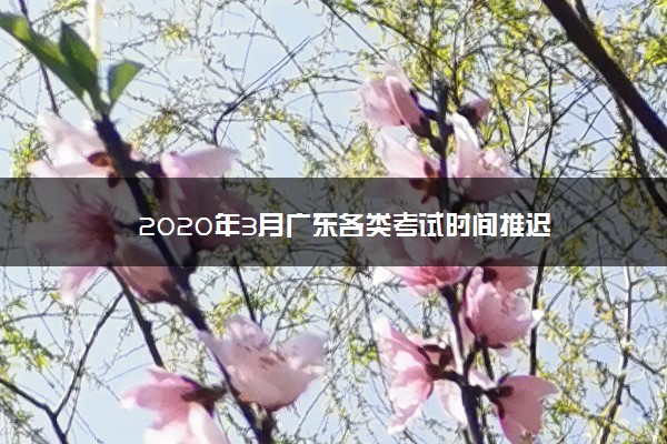 2020年3月广东各类考试时间推迟