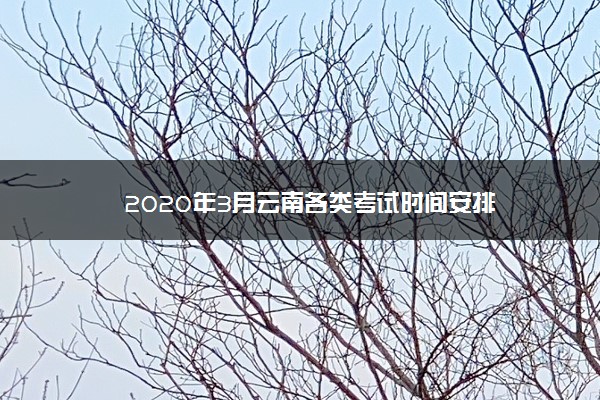 2020年3月云南各类考试时间安排