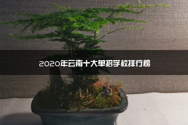 2020年云南十大单招学校排行榜