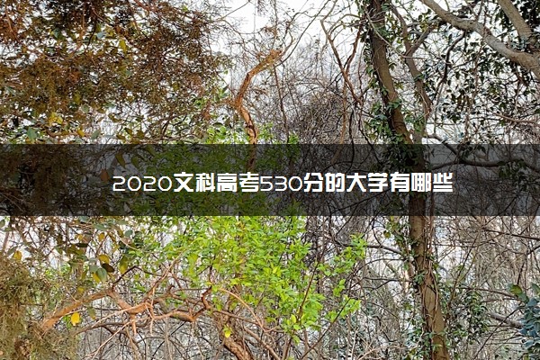 2020文科高考530分的大学有哪些