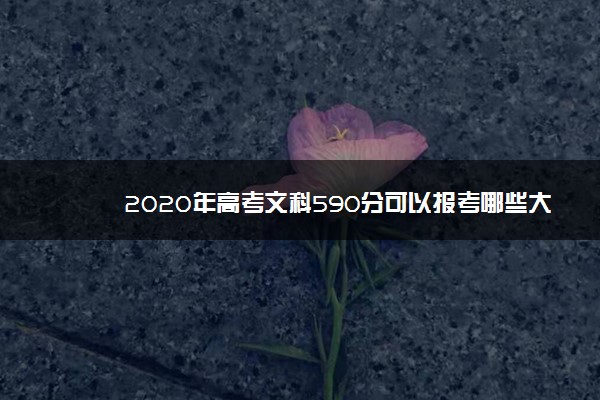 2020年高考文科590分可以报考哪些大学