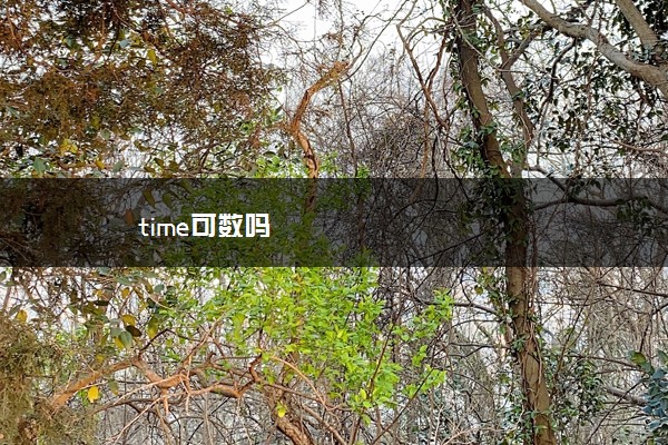 time可数吗