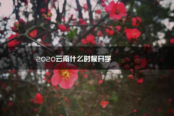 2020云南什么时候开学