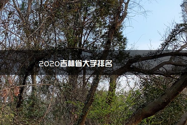 2020吉林省大学排名