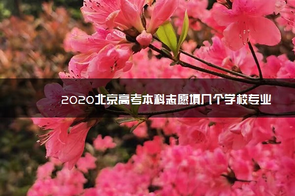 2020北京高考本科志愿填几个学校专业