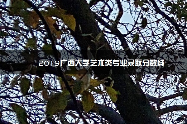 2019广西大学艺术类专业录取分数线